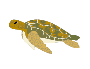 魚