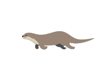 魚
