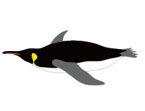 魚