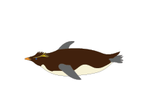 魚