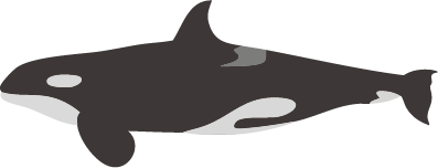 シャチ