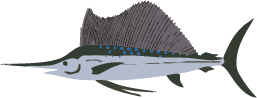 バショウカジキ