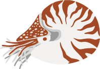 オウムガイ