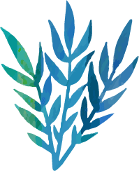 海藻