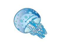 魚