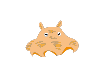 魚