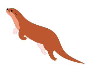 魚