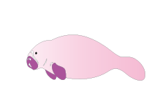 魚