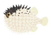魚