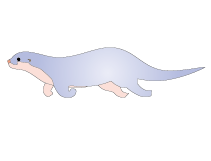 魚