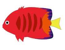 魚