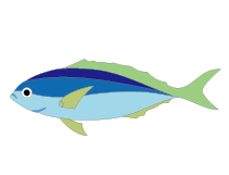 魚