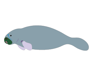 魚