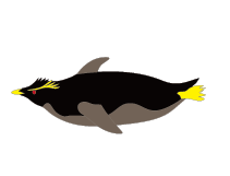 魚