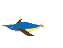 魚