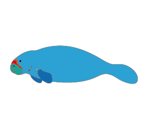 魚