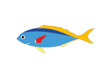 魚