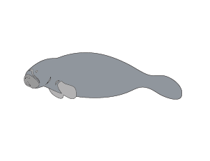 魚