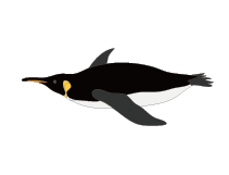 魚