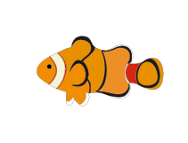 魚