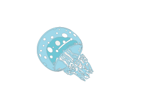 魚