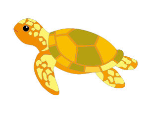 魚