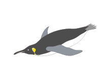 魚
