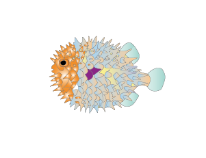 魚