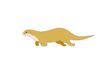 魚