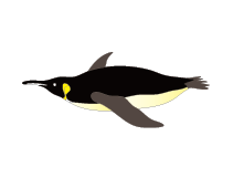 魚
