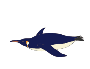 魚