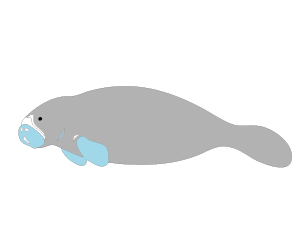 魚